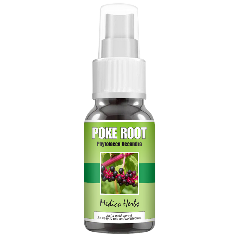 Poke Root Spray (Phytolacca Decandra) 50ml