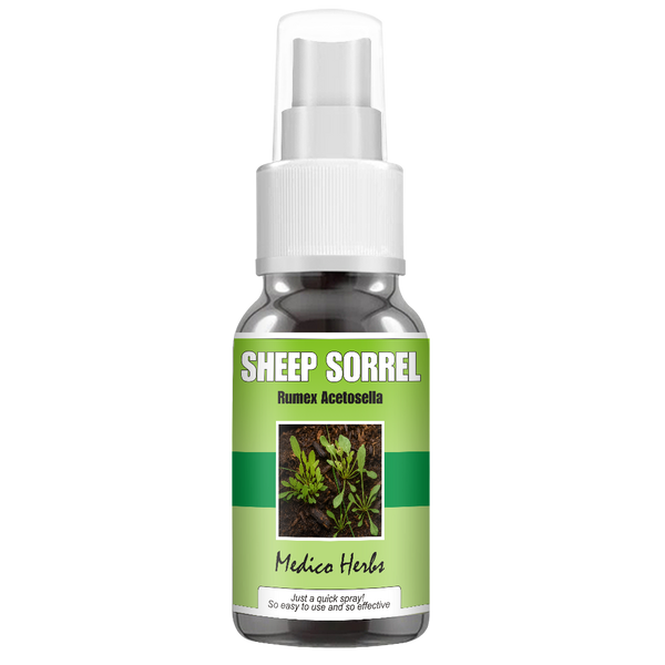 Sheep Sorrel Spray (Rumex Acetosella) 50ml