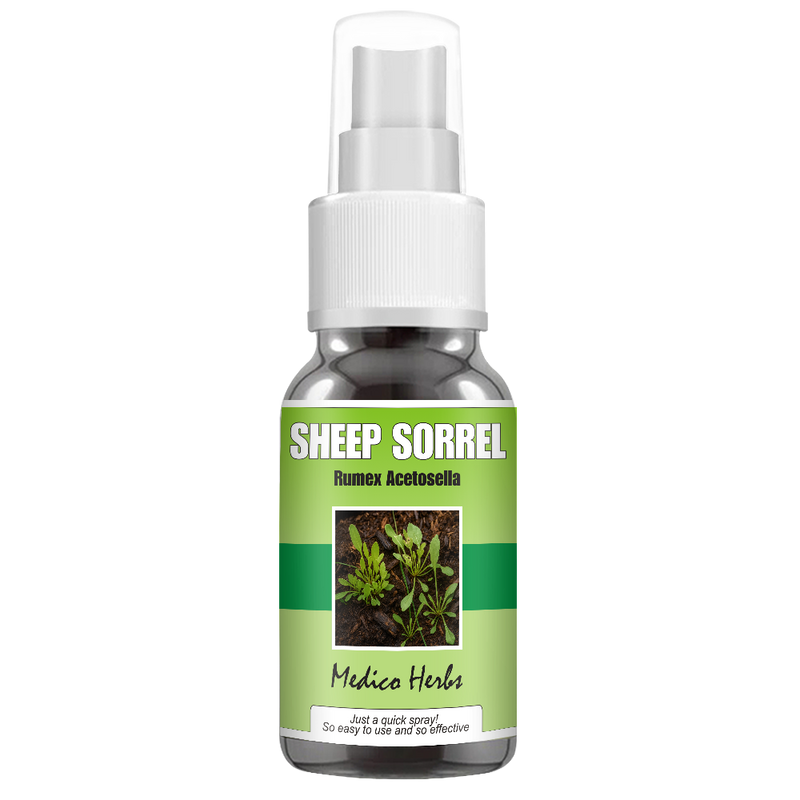 Sheep Sorrel Spray (Rumex Acetosella) 50ml
