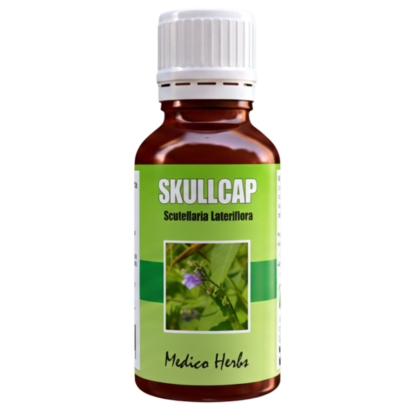 Skullcap Drops (Scutellaria Lateriflora) 50ml