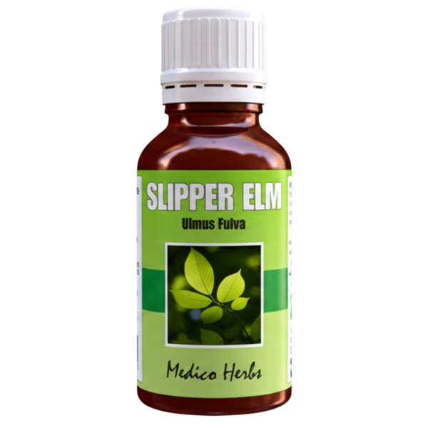 Slippery Elm Drops (Ulmus Rubra) 50ml