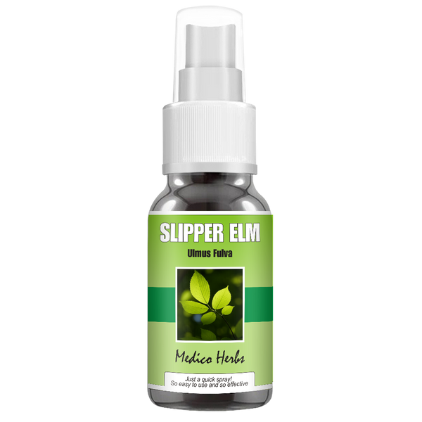 Slippery Elm Spray (Ulmus Rubra) 50ml