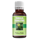Tribulus Terrestris Drops 50ml