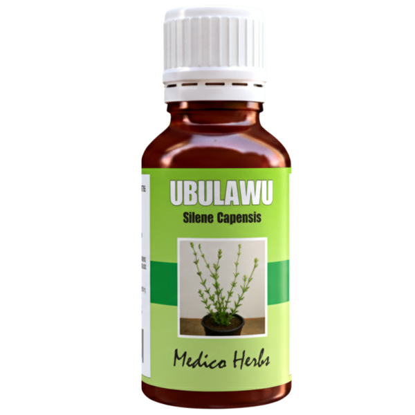 Silene capensis African Dream Root, Drops (Ubulawu) 30ml