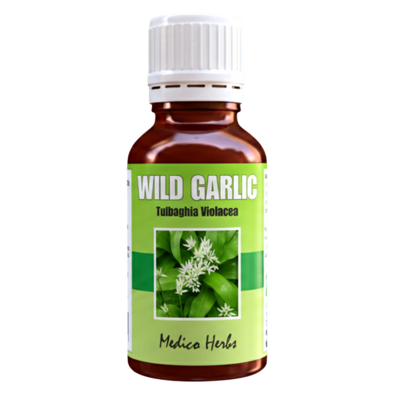 Wild Garlic Drops (Tulbaghia Violacea) 50ml