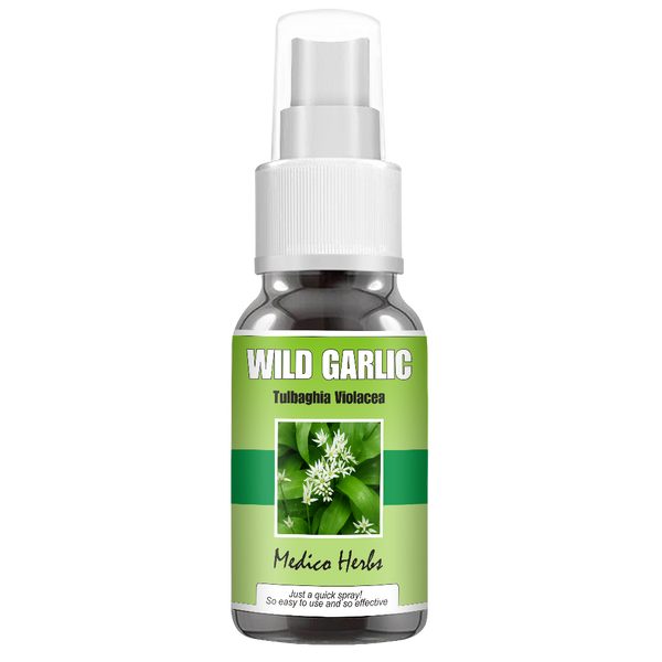 Wild Garlic Spray (Tulbaghia Violacea) 50ml