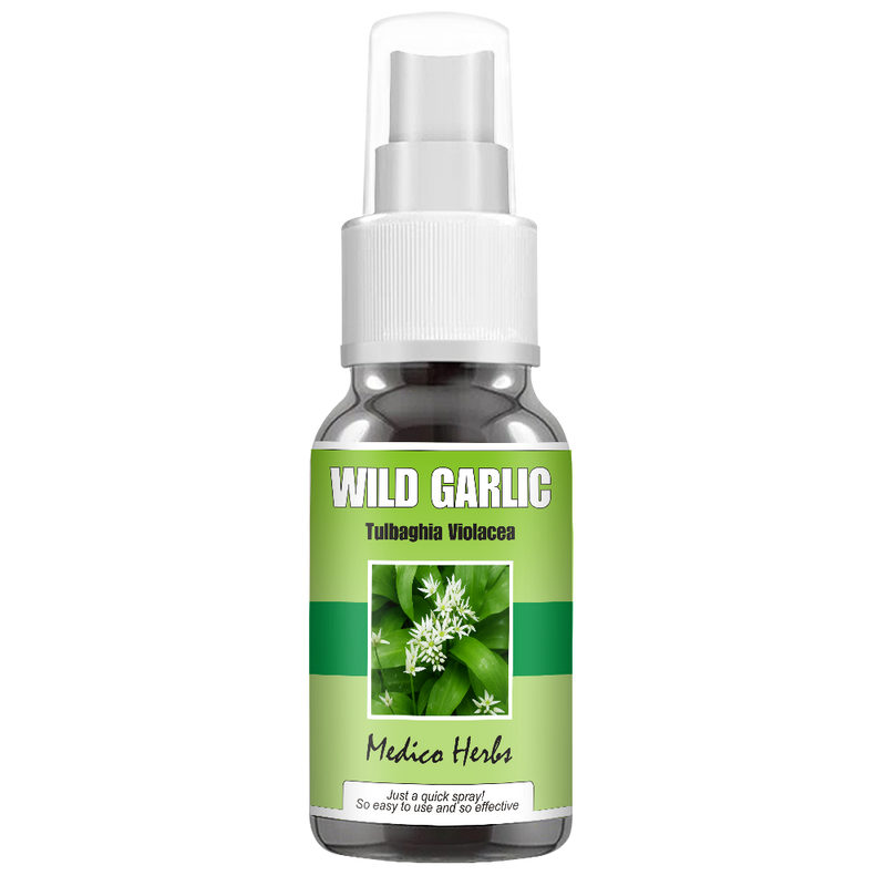 Wild Garlic Spray (Tulbaghia Violacea) 50ml
