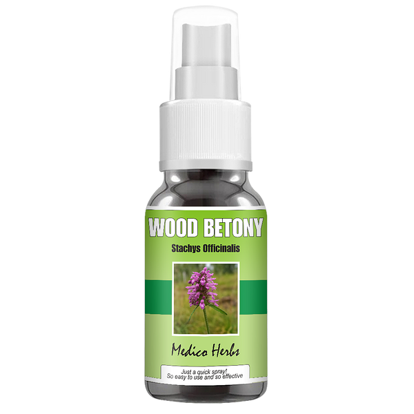 Wood Betony Spray (Stachys Officinalis) 50ml