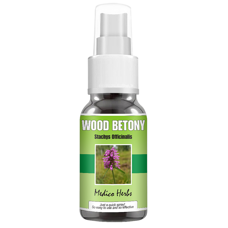 Wood Betony Spray (Stachys Officinalis) 50ml