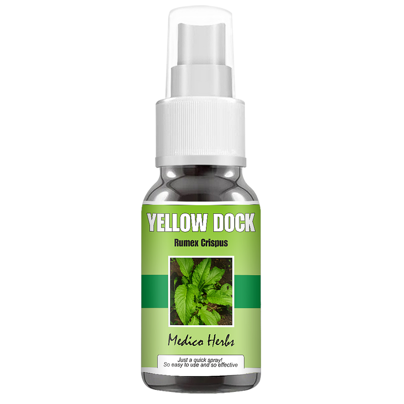 Yellow Dock Spray (Rumex Crispus) 50ml