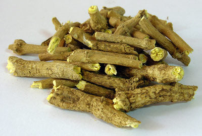 Silene Capensis Dream root Ubulawu African herb