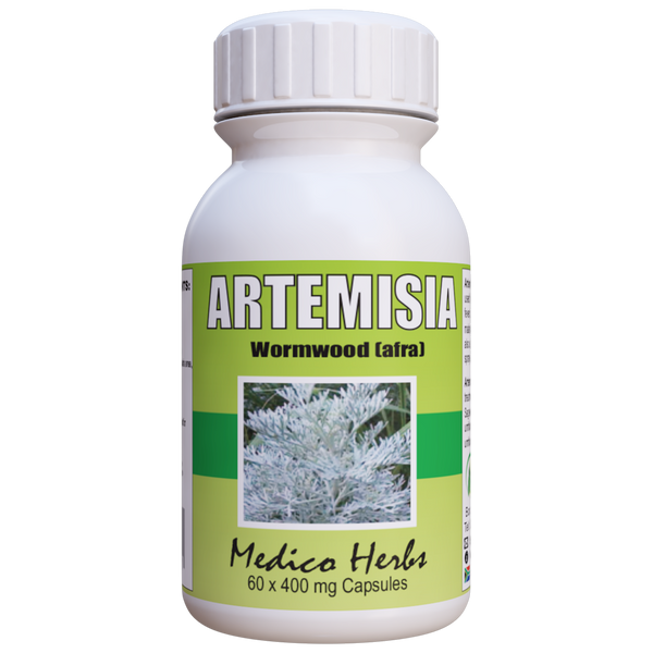 Artemisia Afra African Wormwood malaria immune 60 x 400mg Capsules