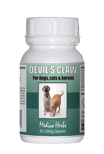 Devil's Claw for Pets 90 x 350mg Capsules