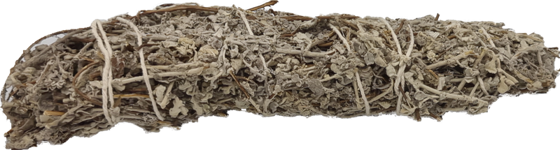 Imphepho Helichrysum petiolare Licorice-plant  500 grams bundled