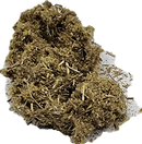 Imphepho Helichrysum petiolare Liquorice plant 50g milled