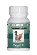 Pure MSM for Pets 60 x 1000mg