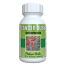 Cancer Bush Sutherlandia Frutescens 30 x 350 mg Capsules