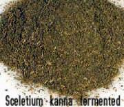 Sceletium Tortuosum (Kanna) dried herb  1kg rough cut