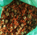 Wild Dagga (Leonotis Leonurus) Flowers & Petals 1kg
